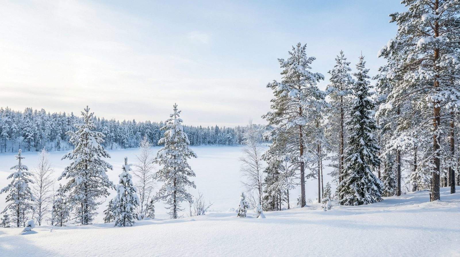 Finnish winter landscape